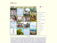 lanera.com