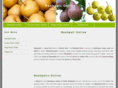 nashpati.com