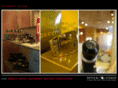 opticalstudio.com