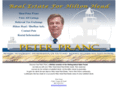 realestateforhiltonhead.com