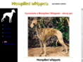 mompilieri-whippets.com