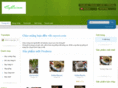 caycoi.com