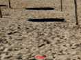 ebike-point-mallorca.com