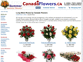 roses.ca