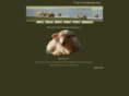pulloverschweinchen.com