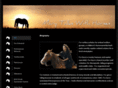 marytalkswithhorses.com