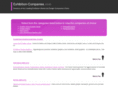 exhibition-companies.com