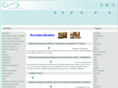 rasite.ru