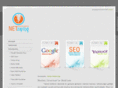 netzaping.com