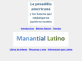 manantiallatino.com