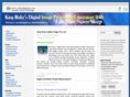 riskydigital.com