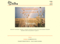 chilka.com.ar
