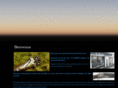 armurerie-brisset.com
