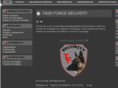 taskforcesecurity.com