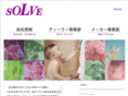 solve-net.com
