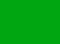 monverdsl.com