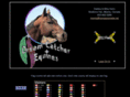 dreamcatcherequines.com