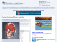 human-anatomy.net