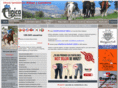 hipica-catalana.com