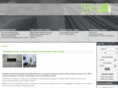 bnconsult.biz