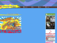 cc-disks.com