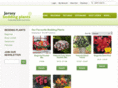 jerseybeddingplants.co.uk