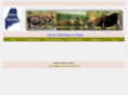 moose-watching.com