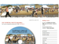 surfingcircus.com