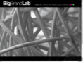 bigbrandlab.com