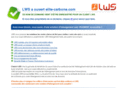 elite-carbone.com