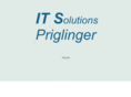 its-priglinger.com
