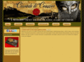 crusadeandconquer.com