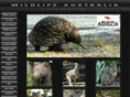 kangaroosanctuary.com