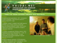 valdai.net