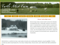turtlemistfarm.com