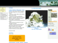 ivmminerals.org
