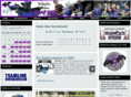 swampbats.com