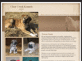 clearcreekkennels.com