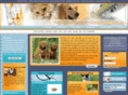 veterinaire-forbach.com