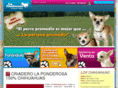 chihuahuaslaponderosa.com