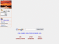 nelsonbunch.com
