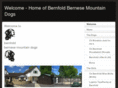 bernfoldbernese.com