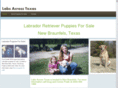 labsacrosstexas.com