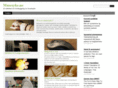 musearm.com