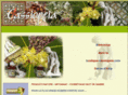 savon-alep-naturel.com