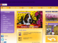 global-sunflower.com