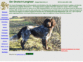 deutsch-langhaar.com