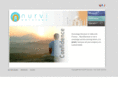 nurvi-services.com