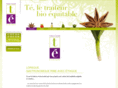 traiteur-ethique.com