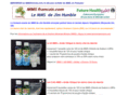 mmsfrancais.com